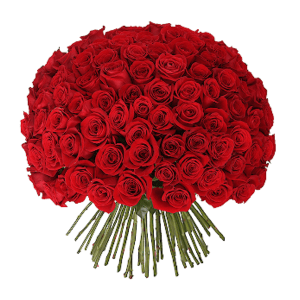 100 Red Roses with Hand Tied Bouquet Delivery in Dubai, UAE