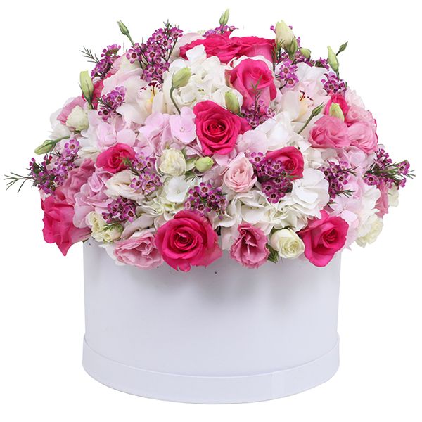 Box of Blooms Flower Delivery UAE