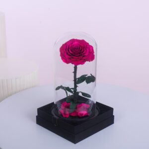 Single Preserved Rose in Dubai