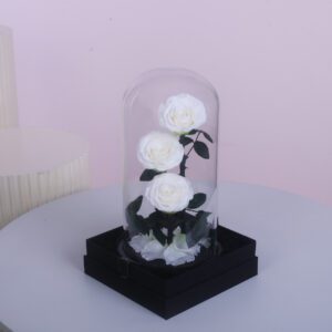 Trio Forever White Rose