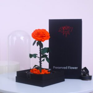 A single, preserved orange rose in a glass dome, sitting inside a black gift box. The text "Preserved Flower" is displayed on the box.