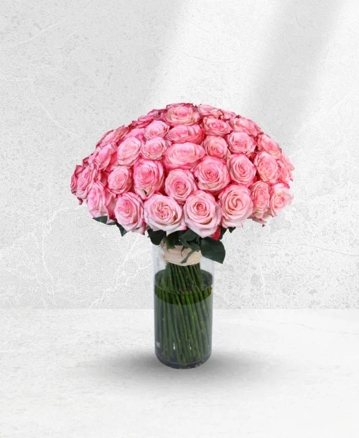 Pink Serenity 100 Roses