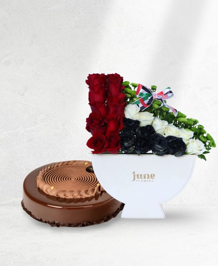 Emirates Colour Delight