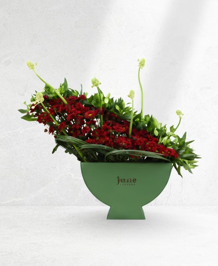 Signature Curve Bowl