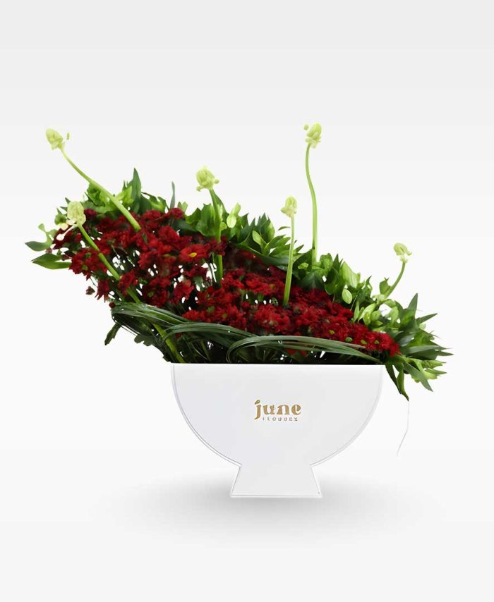 Signature Curve Bowl