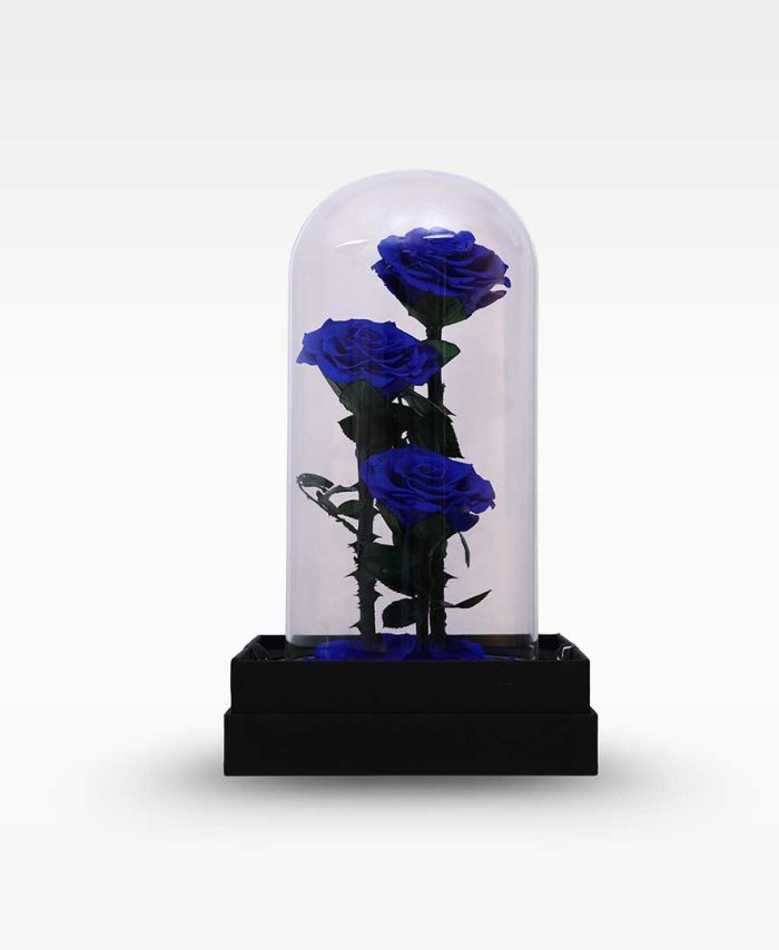 Dark Blue Forever Rose