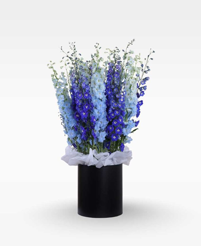 Garden Celebration Bloom